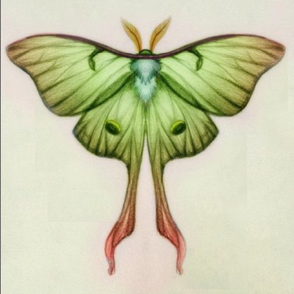 Meet your Posher, Cassidy